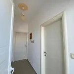 Guximi